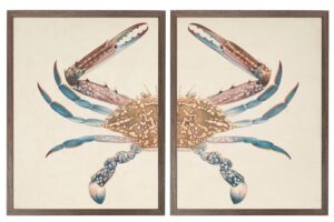 Vintage bookplate of a swimming crab diptych