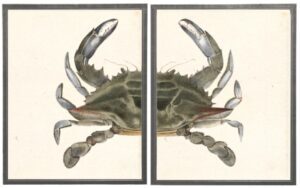 Diptych Green and Gray Crab