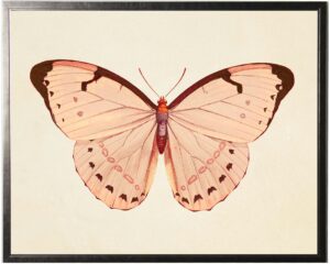 Horizontal Pink Butterfly 2
