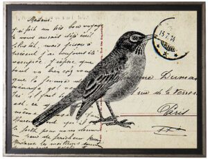 Bird Two on calligraphy postcard background