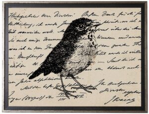Bird Three on calligraphy postcard background