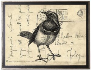Bird Four on calligraphy postcard background