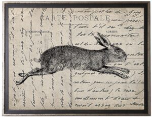 Bunny on calligraphy postcard background