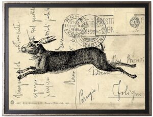 Hare on calligraphy postcard background