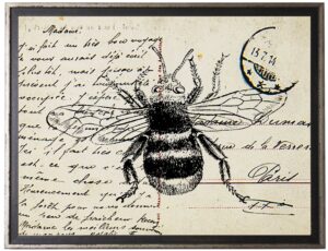 Bumblebee on calligraphy postcard background