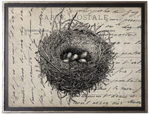 Bird's Nest on calligraphy postcard background