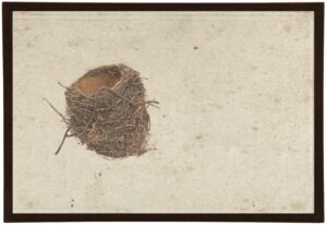 Bird's Nest with Twig