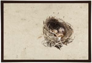 Birds's Nest with Large Eggs