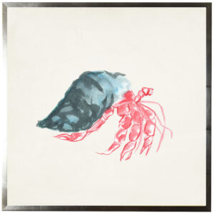 Watercolor hermit crab