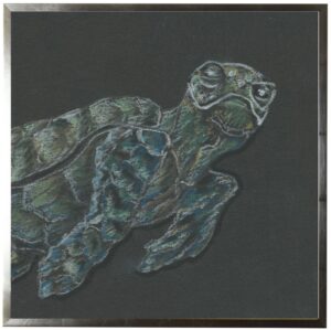 Pastel Sea turtle on black