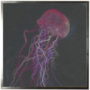 Pastel Jellyfish on black