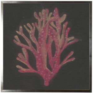 Pastel Coral on black