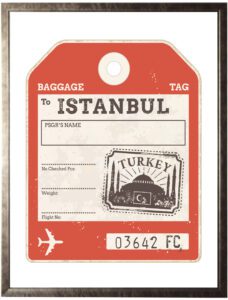 Istanbul Travel Ticket