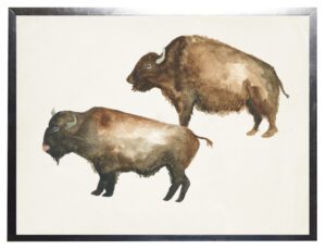 Watercolor buffalo