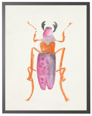 Watercolor orange and pink beetle