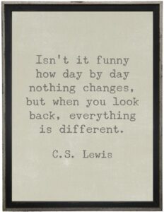 Isn't it funny…Lewis quote