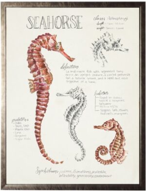 Watercolor and sketched nature study of a seahorse
