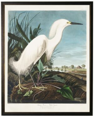 White Egret bookplate