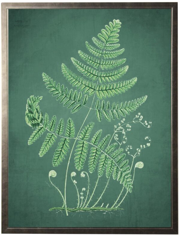 Fern on a green distressed background