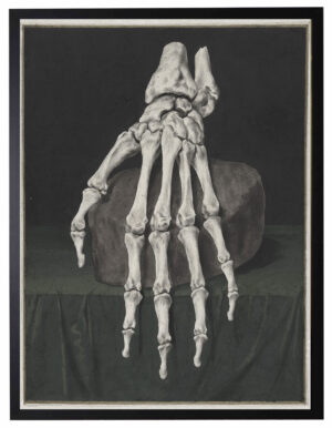 Skeleton hand on black