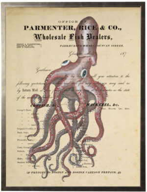Vintage watercolor octopus on a wholesale fish market book page