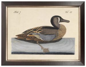 Vintage duck bookplate on a distressed natural background
