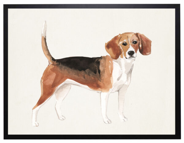 Watercolor Beagle