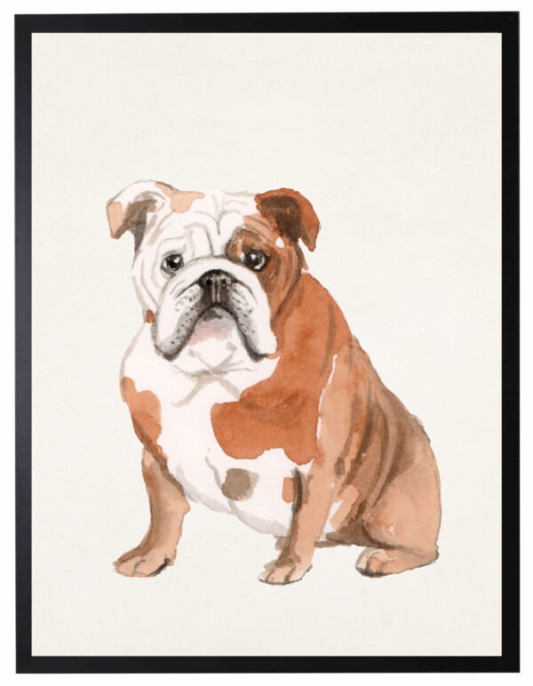 Watercolor English Bulldog