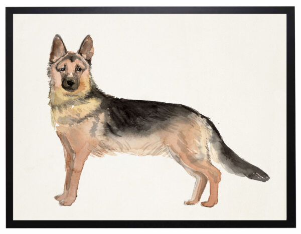 Watercolor German Shepherd