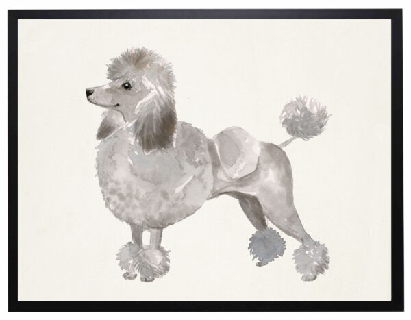 Watercolor Poodle