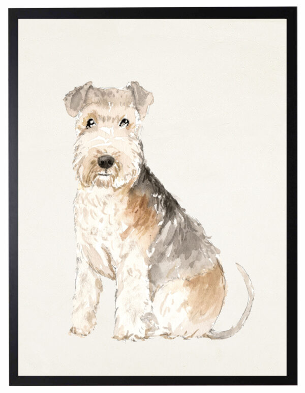 Watercolor Lakeland Terrier