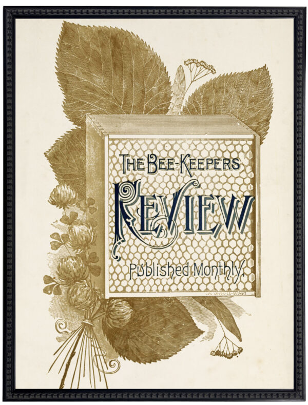 Vintage Bee Review magazine cover