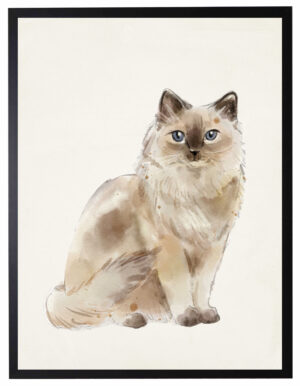 Watercolor Ragdoll cat