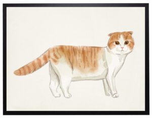 Watercolor Scottish Fold cat