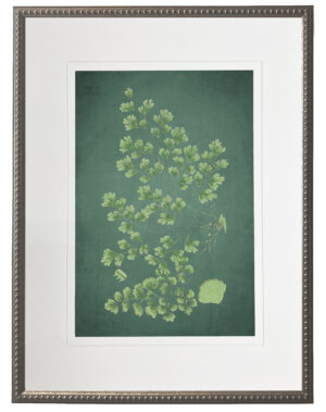 Fern on a distressed green background matted in cream