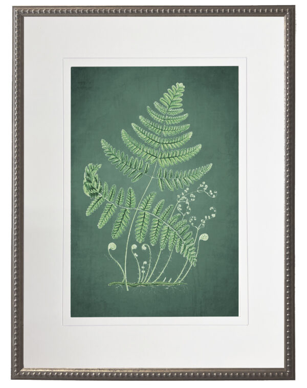 Fern on a distressed green background matted in cream