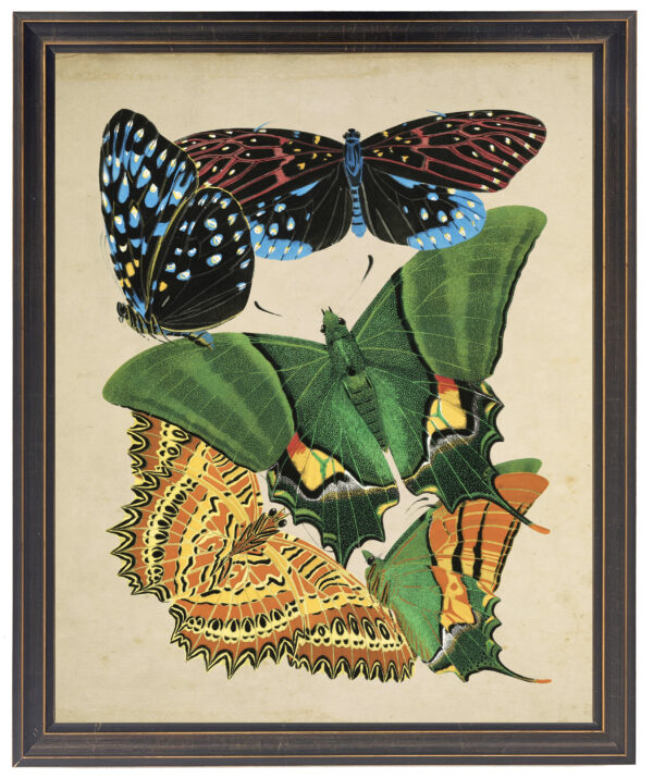 Vintage bright multi butterfly print on a distressed background