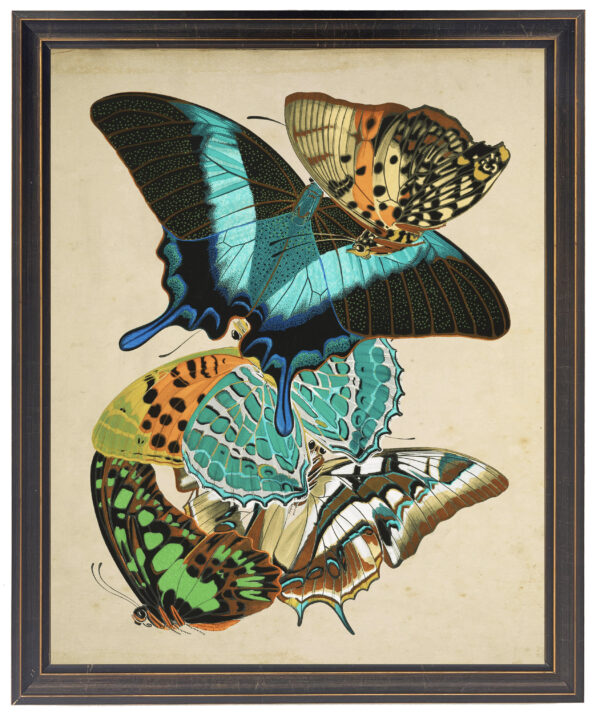 Vintage bright multi butterfly print on a distressed background
