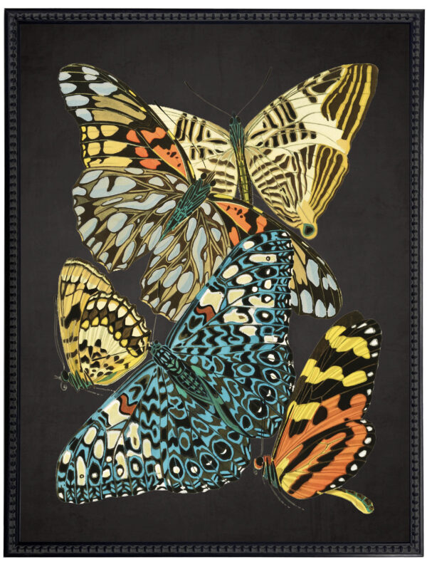 Vintage bright multi butterfly print on a distressed black background