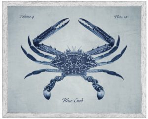 Navy blue crab on a pale blue distressed background