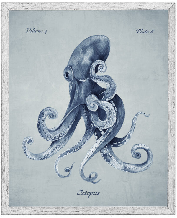 Navy octopus on a pale blue distressed background