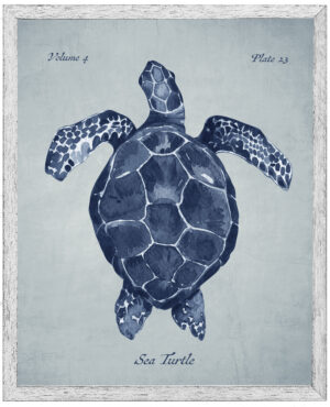 Navy sea turtle on a pale blue distressed background