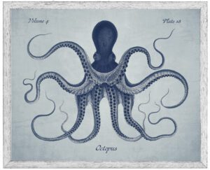Navy octopus on a pale blue distressed background