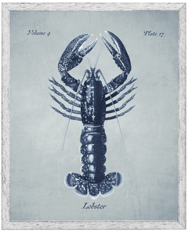 Navy lobster on a pale blue distressed background