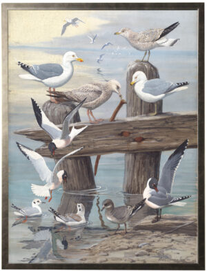 Vintage Seagulls painting reproduction