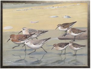 Vintage Sandpipers painting reproduction