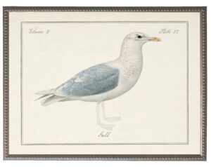 Vintage gull picture on a distressed background