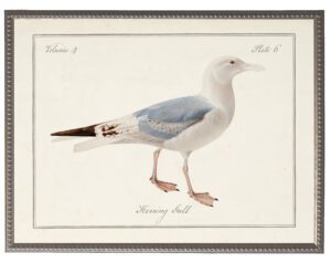 Vintage gull picture on a distressed background
