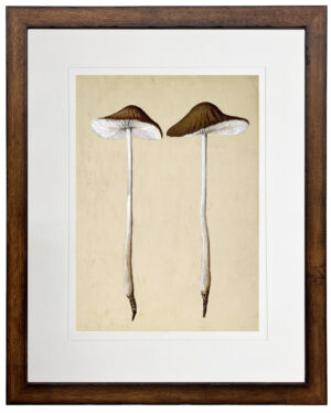 Vintage illustration of neutral mushrooms matted in a cream mat
