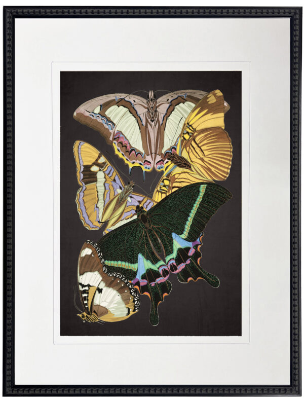 Vintage bright multi butterfly print on a distressed black background matted in a cream mat